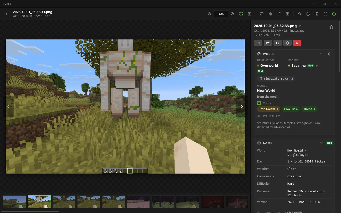 Screenshot viewer with a details panel listing coordinates, biome, light and technical data